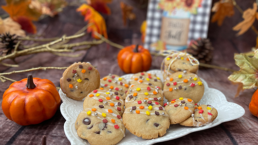 Photo of Iced Pumpkin Spice Chocolate Chip Cookies