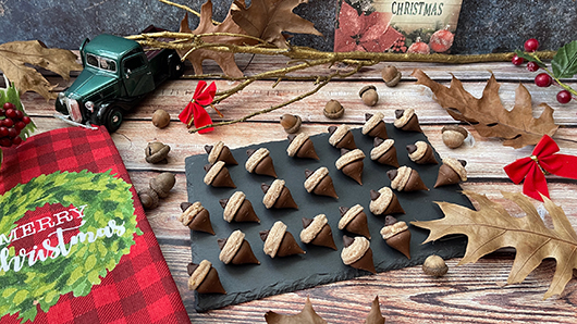 Photo of Acorn Peppermint Hot Chocolate Cookies
